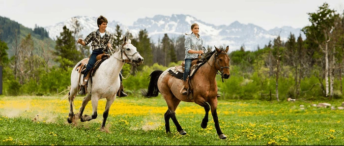 Confident plus-size woman riding Sheffield a horse through a field with a smile on her face.